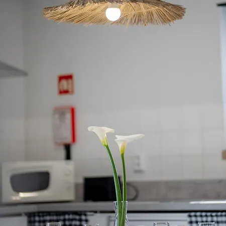 Casa Do Ze Grande * 실베이라