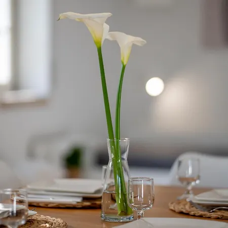 Casa Do Ze Grande Дом отдыха