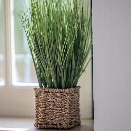 Дом отдыха Casa Do Ze Grande