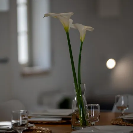 Casa Do Ze Grande Силвейра